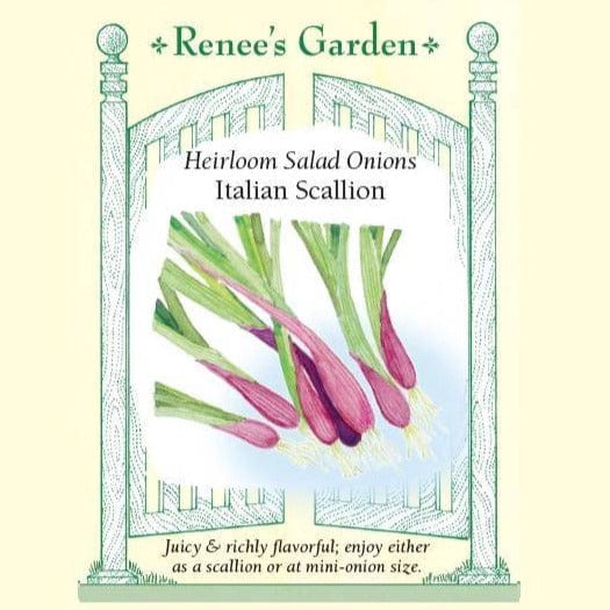 Onion Italian Scallion - Renee's Garden