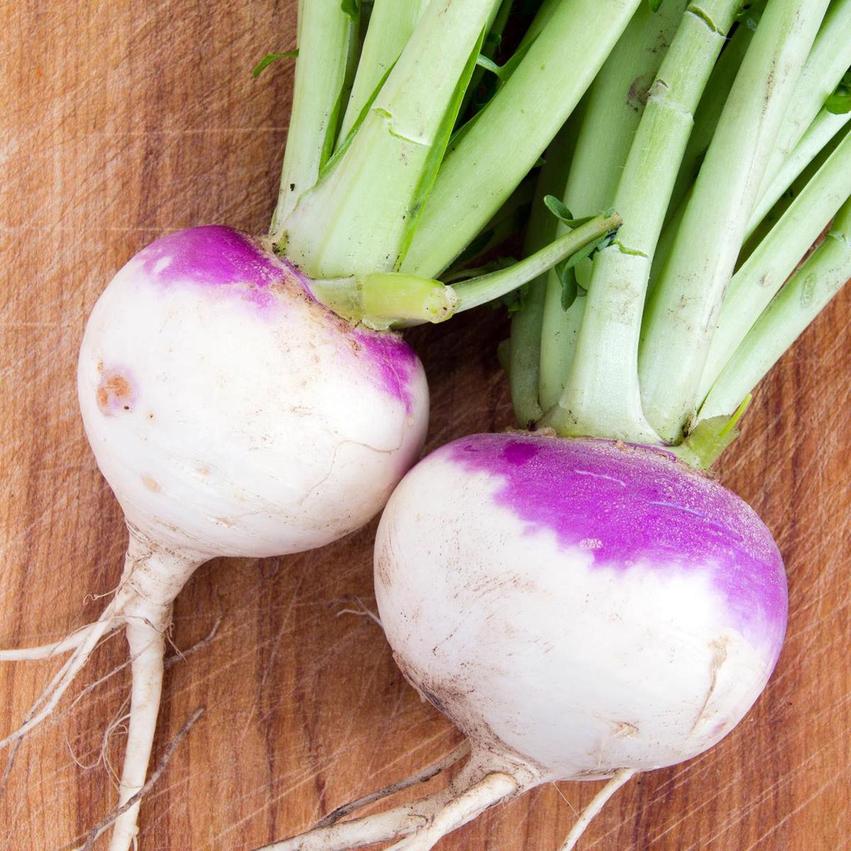 Purple Top White Globe Turnip