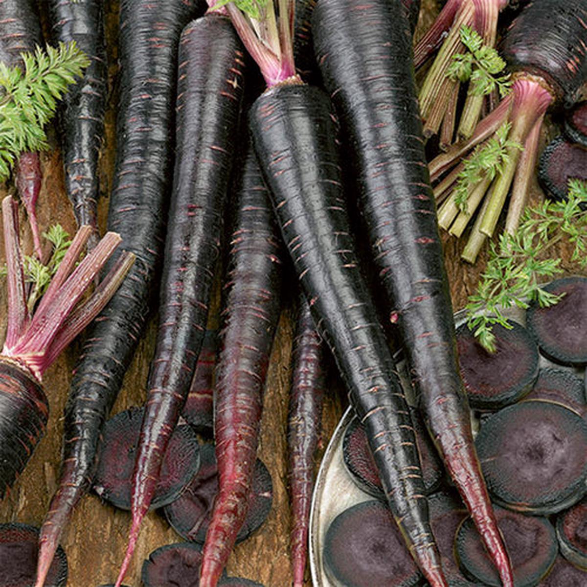 Carrot, Black Nebula (Organically Grown Seeds)