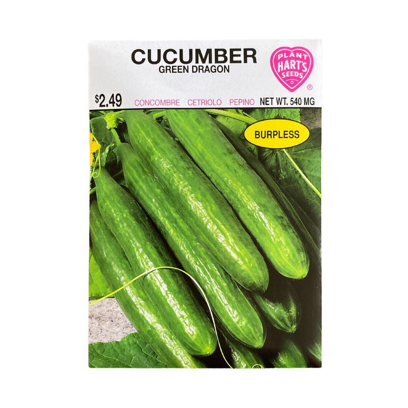 Cucumber Green Dragon