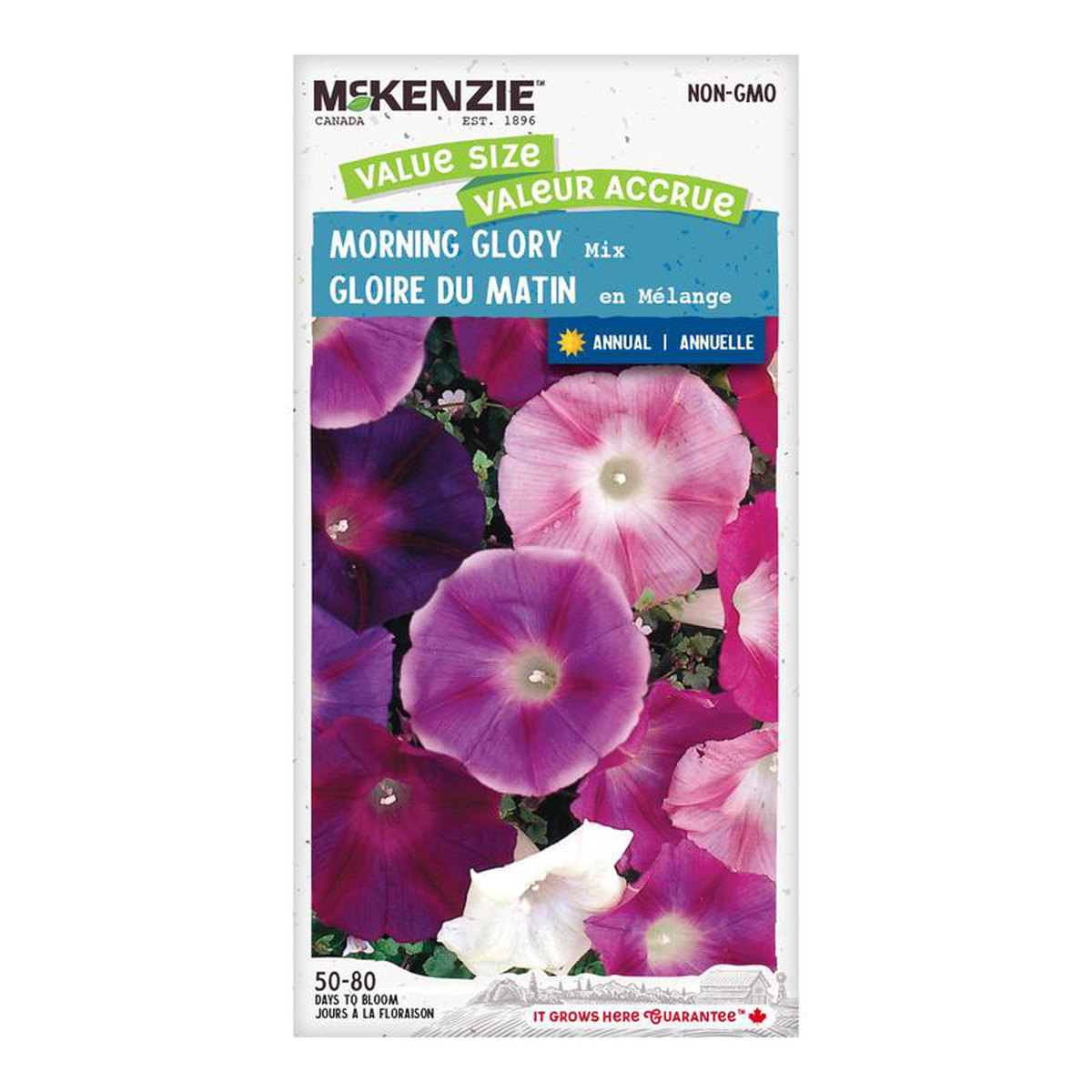 Morning Glory Mix Jumbo Pack 8211 McKenzie Seeds
