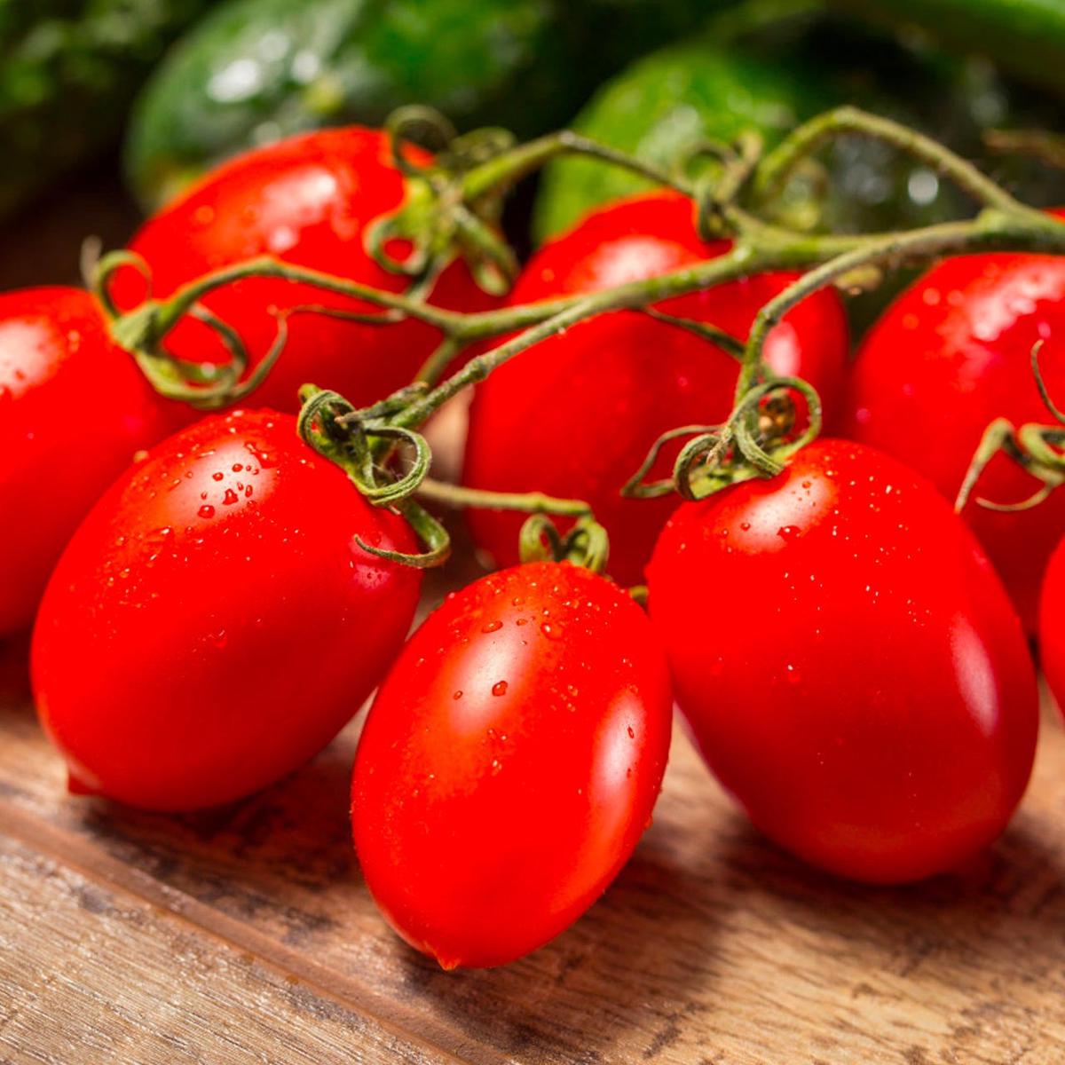 Organic Roma Tomato (Solanum lycopersicum) Determinate