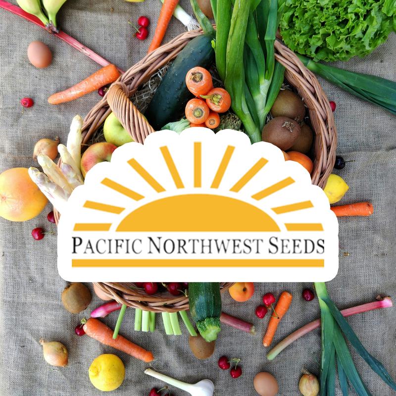 Pepper Pimento - Pacific Northwest Seeds