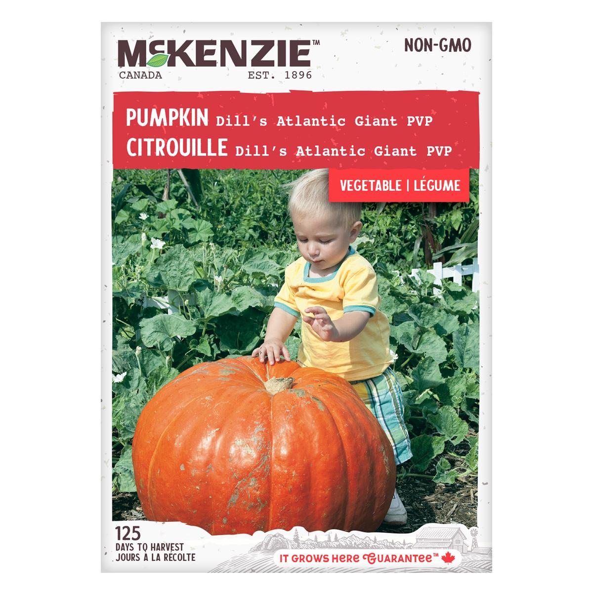 Pumpkin Dill's Atlantic Giant PVP - McKenzie Seeds