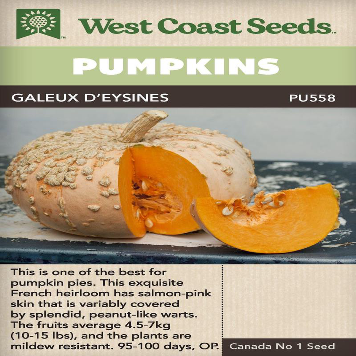 Pumpkin Galeux D8217Eysines 8211 West Coast Seeds