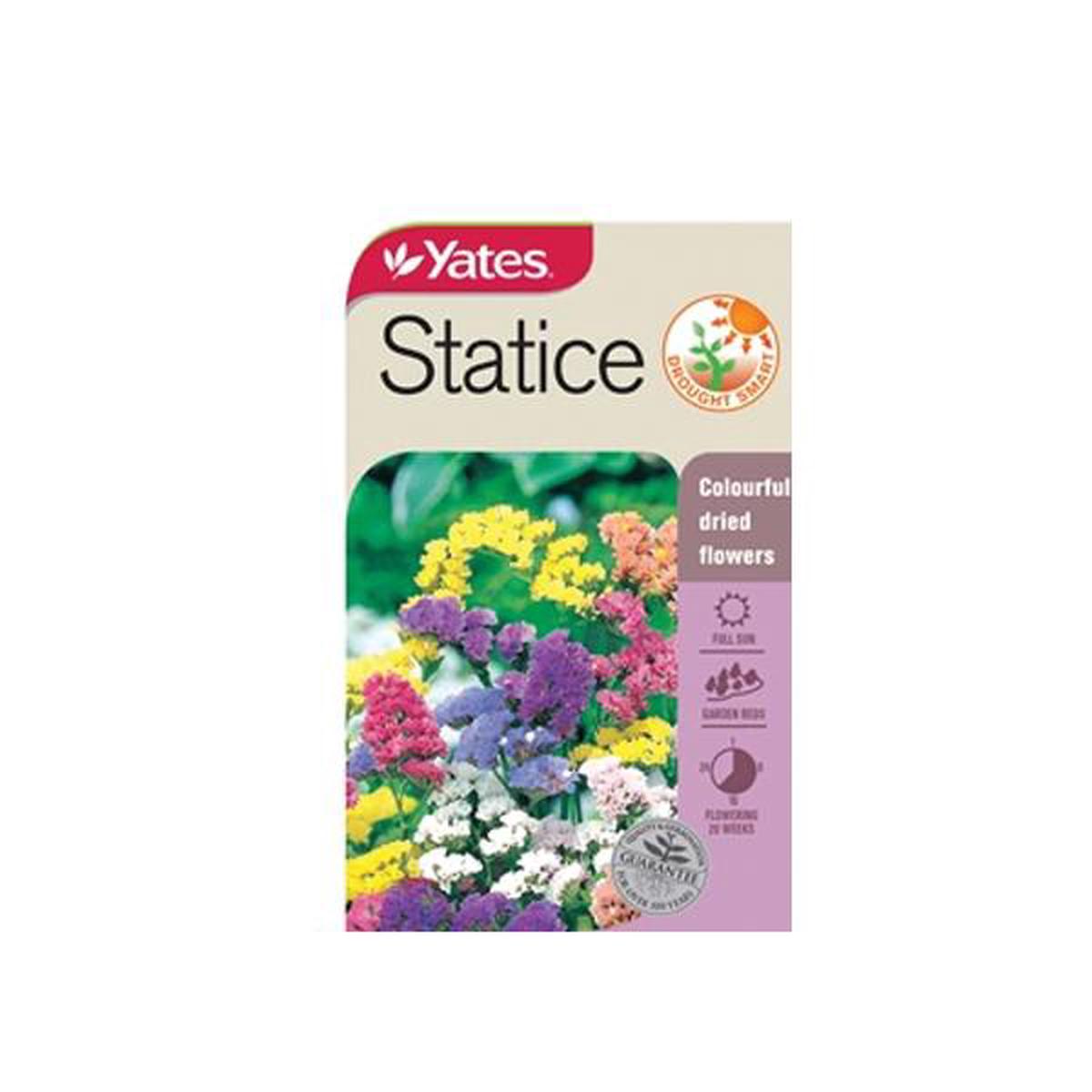 Statice