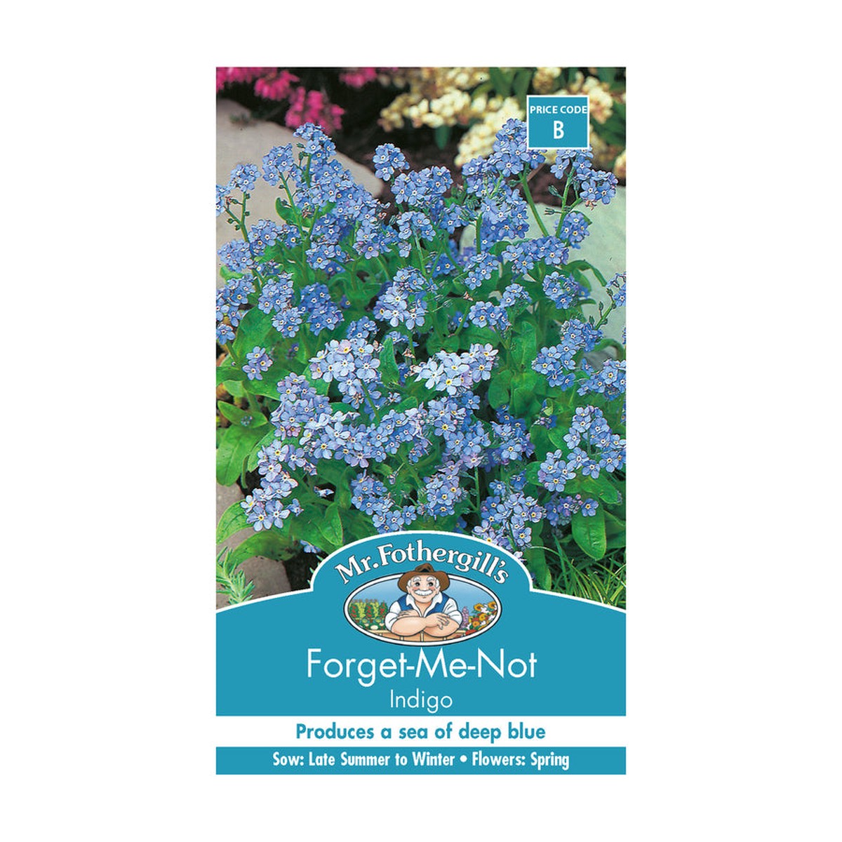 Forget Me Not 'Indigo' Seeds
