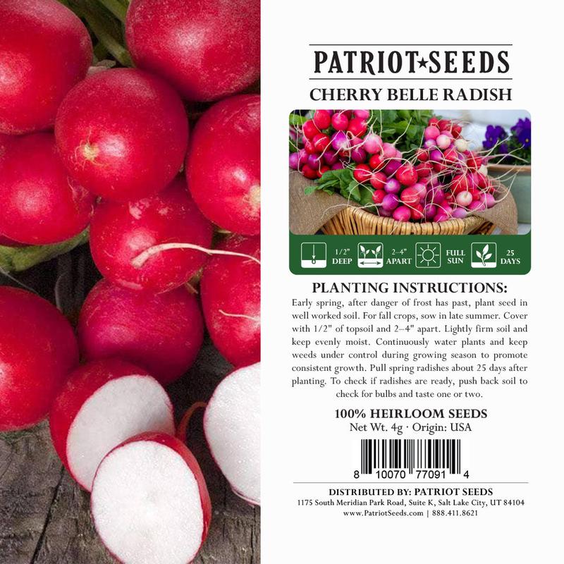 Heirloom Cherry Belle Radish Seeds (4g) by Patriot Seeds