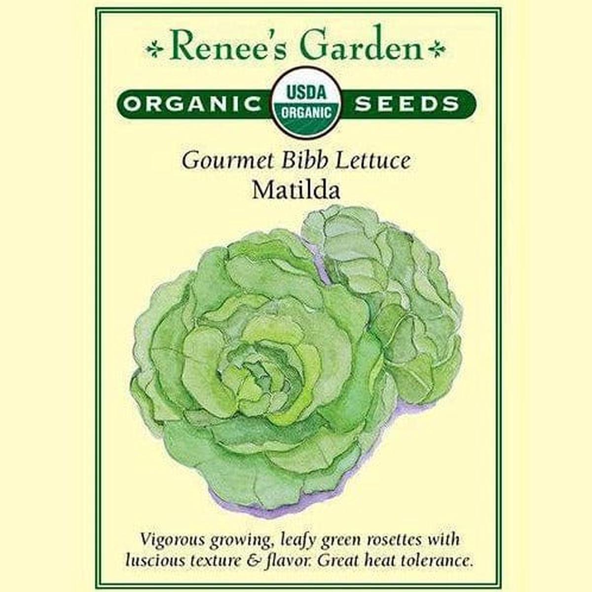 Organic Lettuce Matilda - Renee's Garden