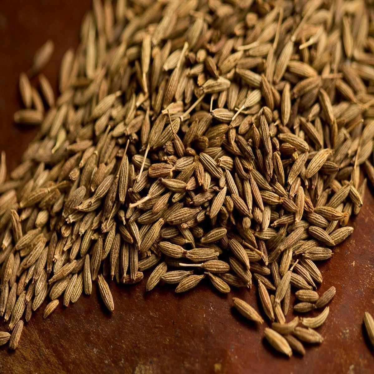 250 Seeds Cumin (Cuminum cyminum) Aromatic Spice Herb for Cooking