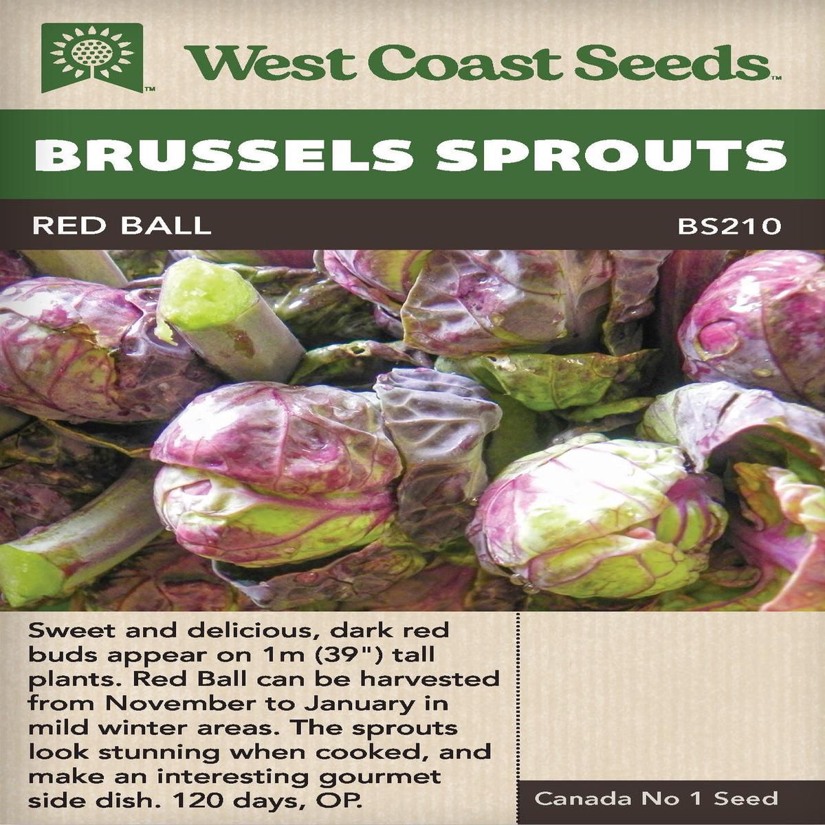 Brussels Sprouts Red Ball - West Coast Seeds