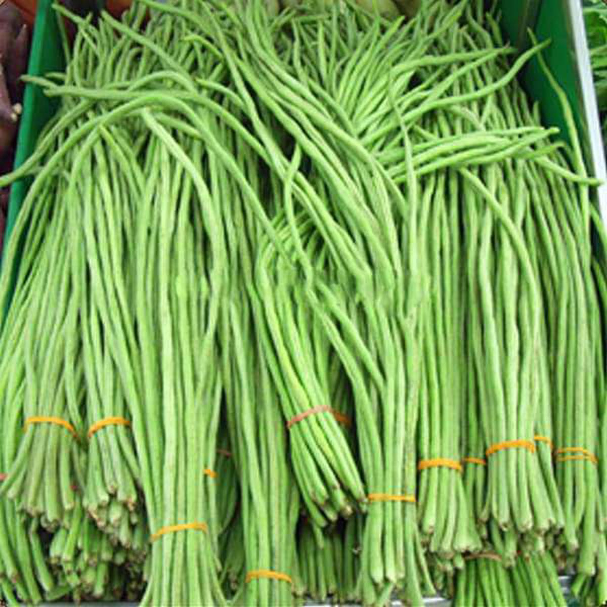 Yard Long Imported Beans - Vegetable Seeds - Default Title