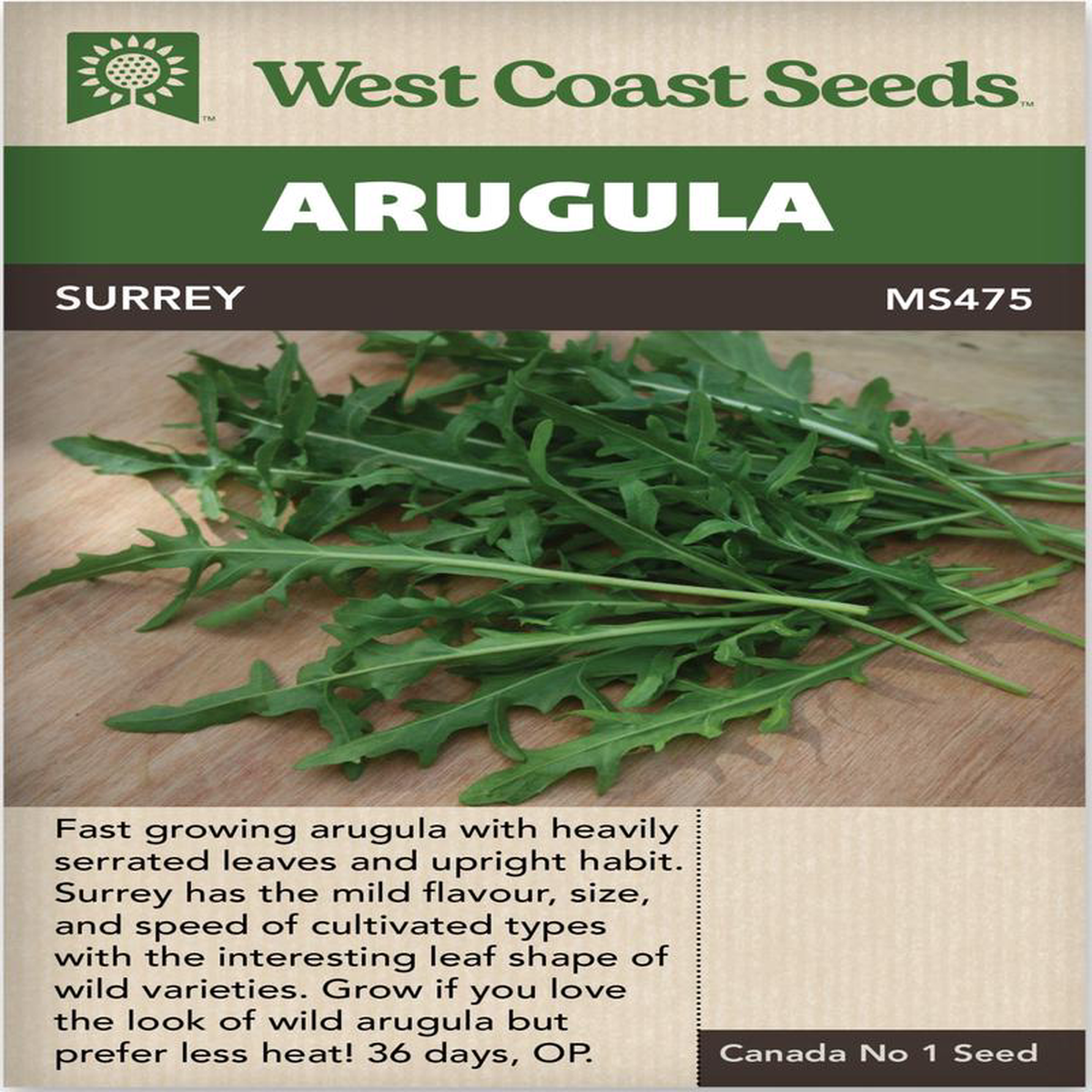 Arugula Surrey 8211 West Coast Seeds