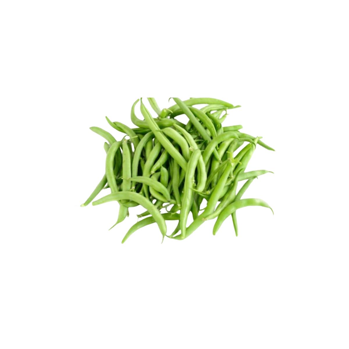 Bean Blue Lake FM! Pole Seeds | OSC Seeds
