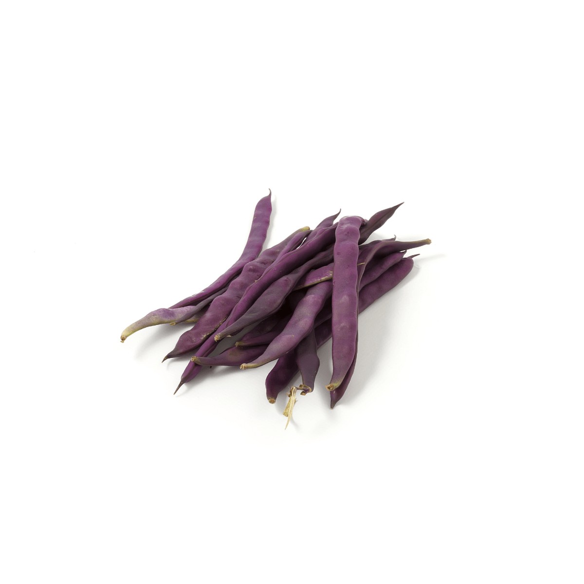 Beans Purple Peacock Seeds | West Coast Seeds