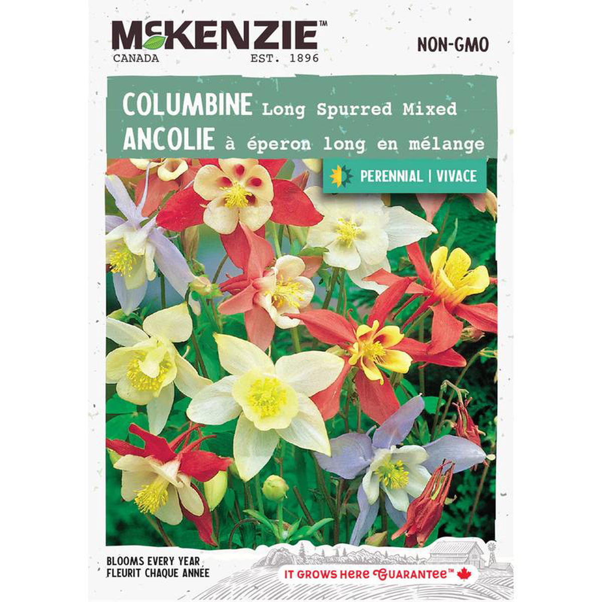 Columbine Long Spurred Mix 8211 McKenzie Seeds