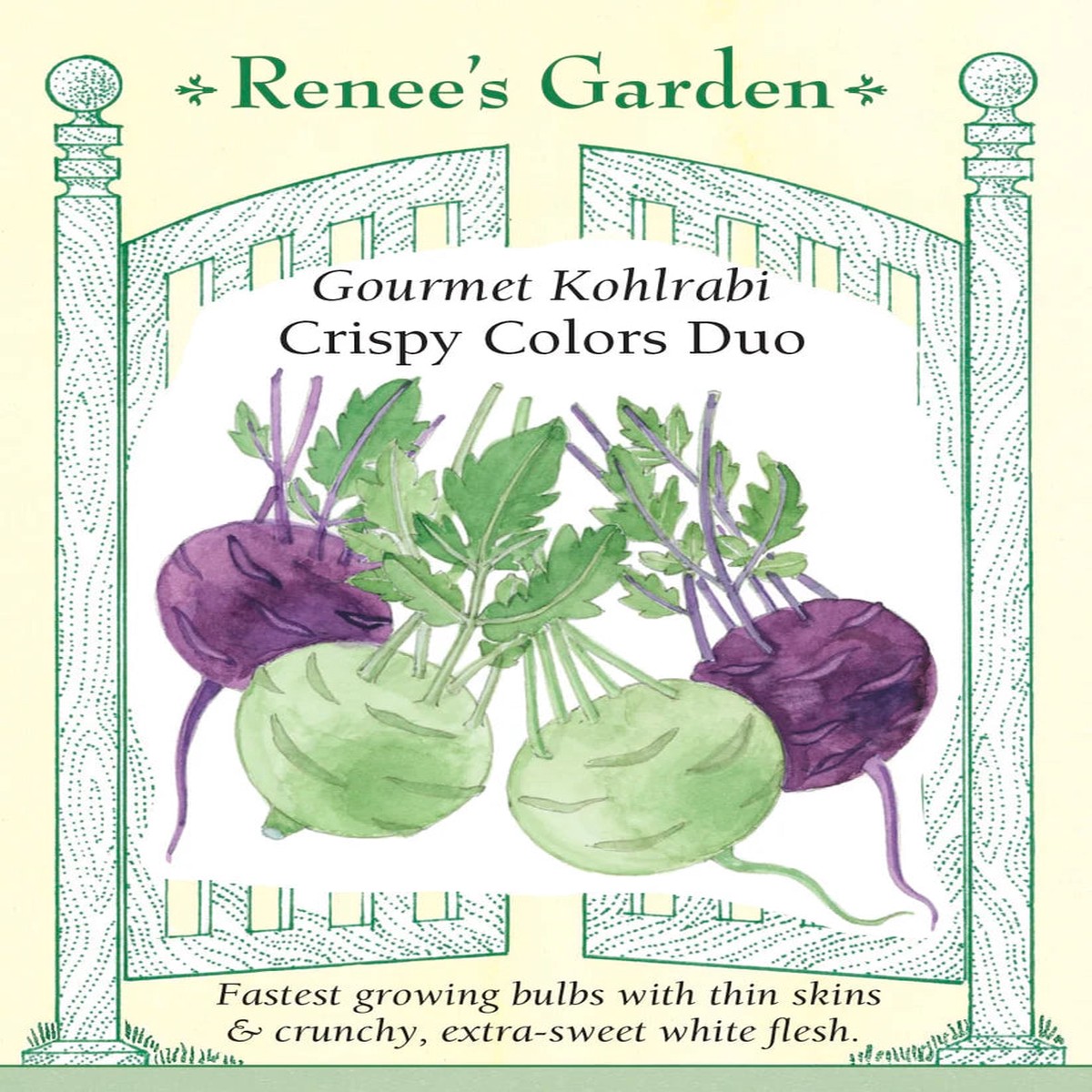 Kohlrabi - Crispy Colors Duo