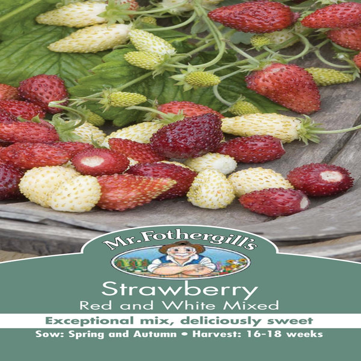 Strawberry Red & White Mixed Seeds