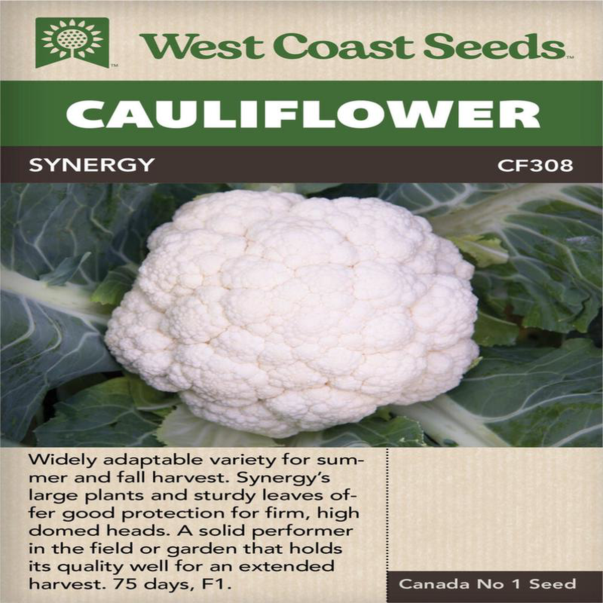 Cauliflower Synergy 8211 West Coast Seeds