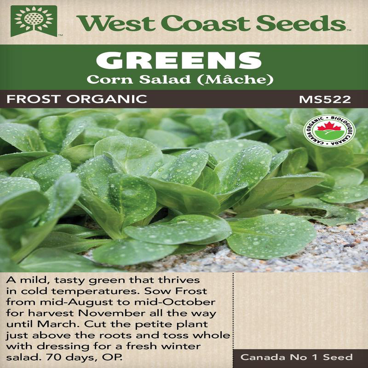 Organic Corn Salad Frost 8211 West Coast Seeds