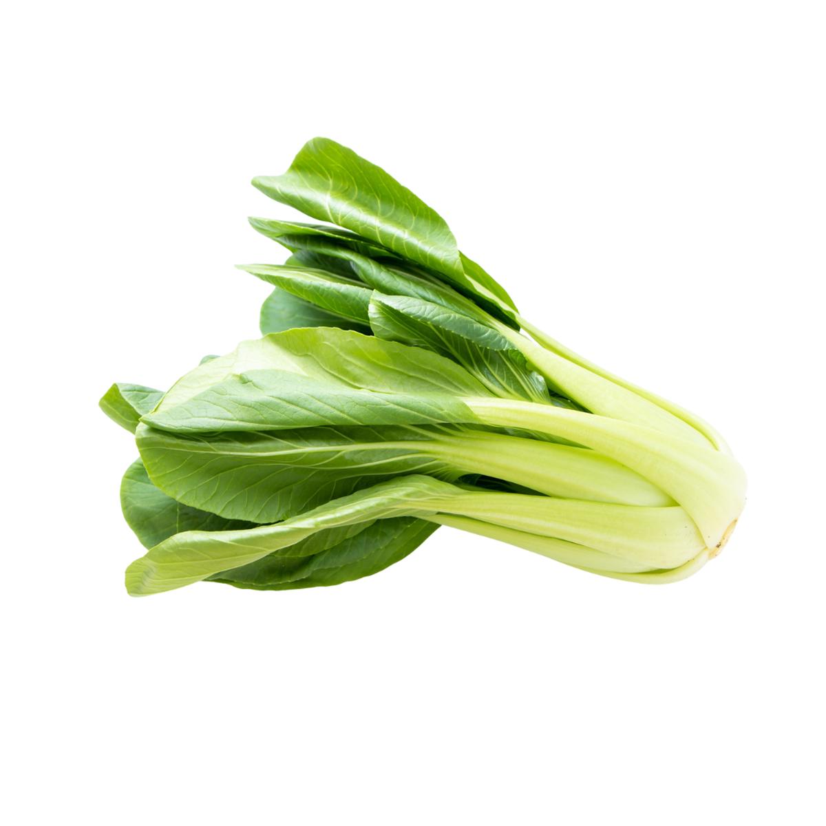 Pac Choi Mei Qing Choi F1 | West Coast Seeds