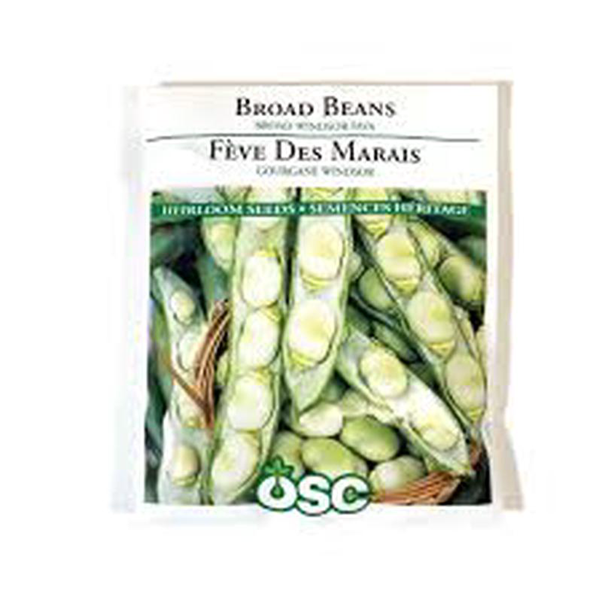 Bean (Broad) Seed Packets Broad Windsor Fava