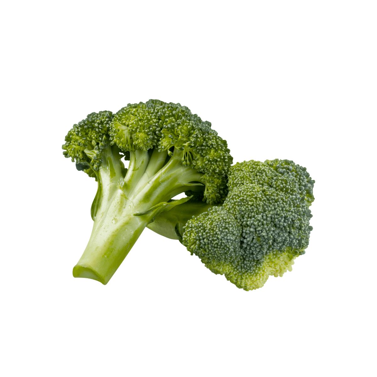 Broccoli Centennial F1 Seeds | West Coast Seeds