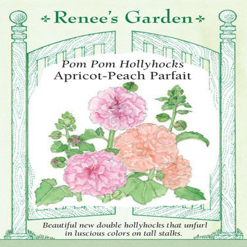 Hollyhock Apricot-Peach Parfait - Renee's Garden