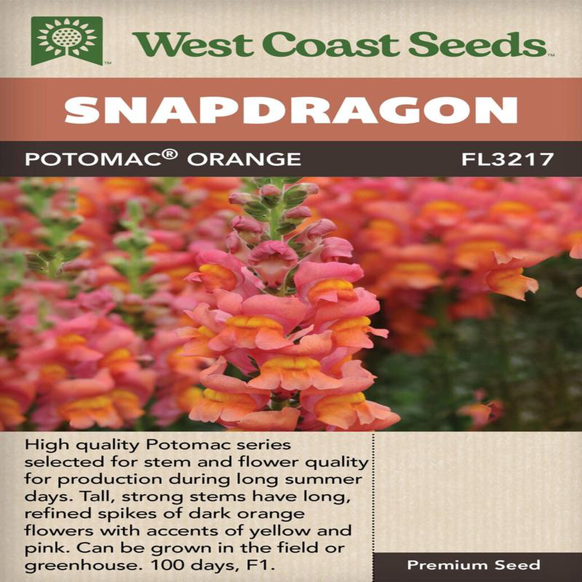 Snapdragon Potomac Orange 8211 West Coast Seeds