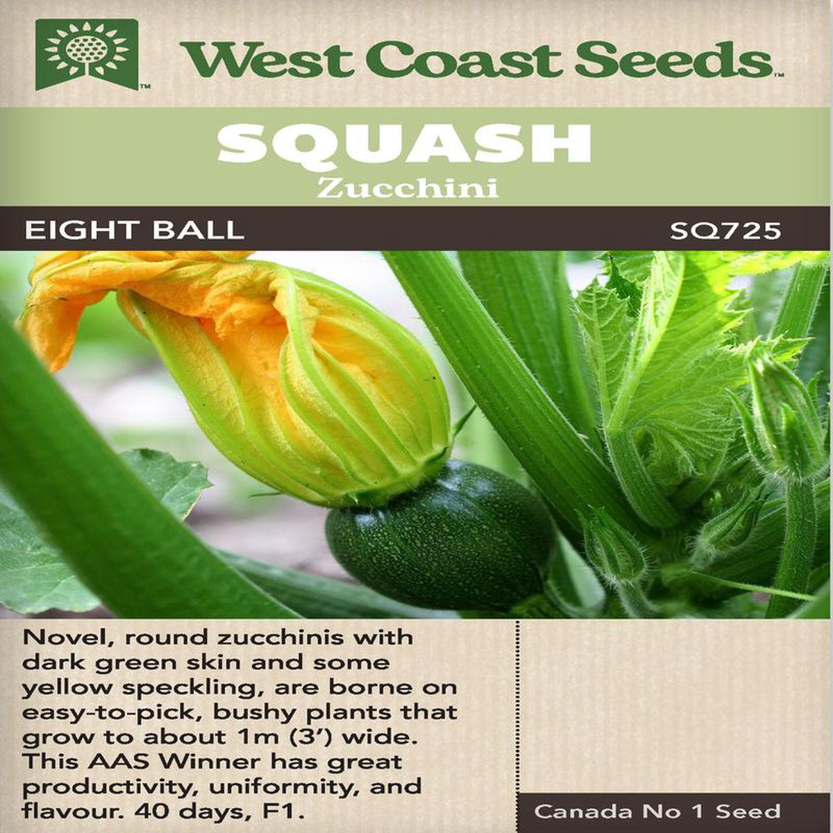 Zucchini Eight Ball 8211 West Coast Seeds