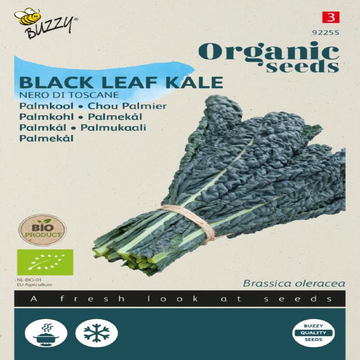 Palmkohl Nero di Toscana Samen BIO