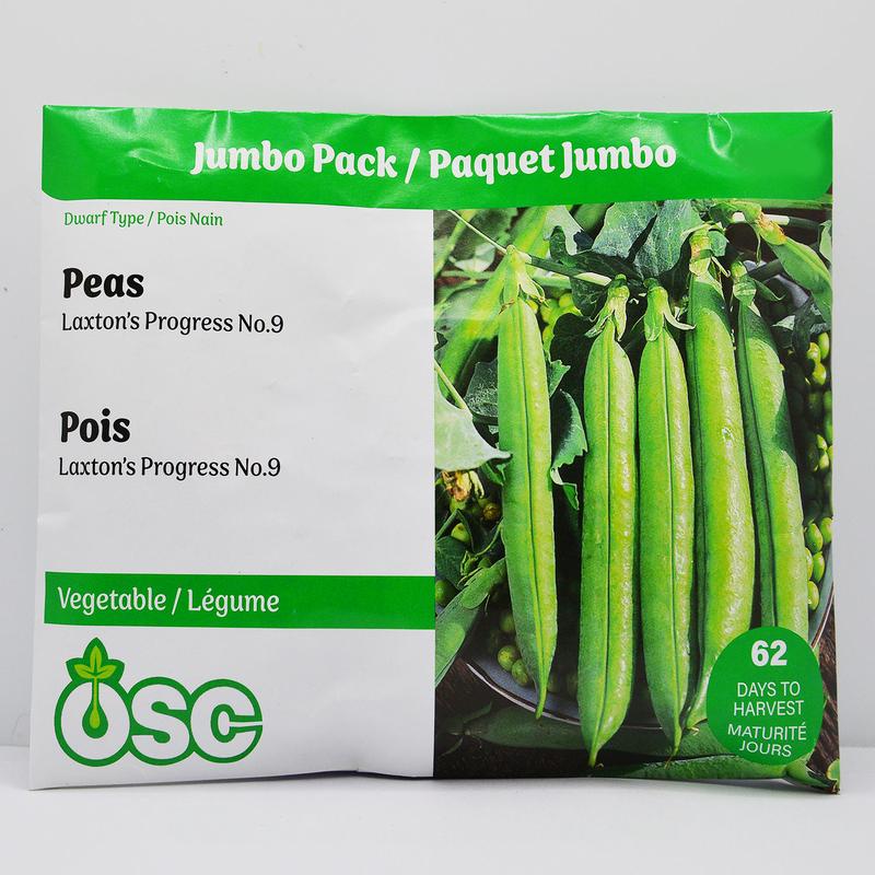 Peas Laxton's Progress No.9 Jumbo - Ontario Seed Company