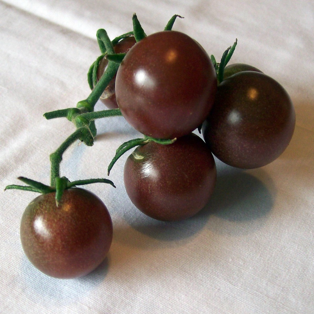 Black Cherry Tomato 25 Seeds - Sweet & Juicy