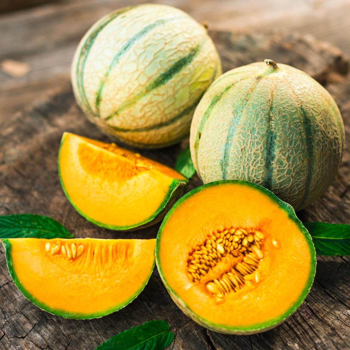 Hearts of Gold Melon (Cucumis melo)