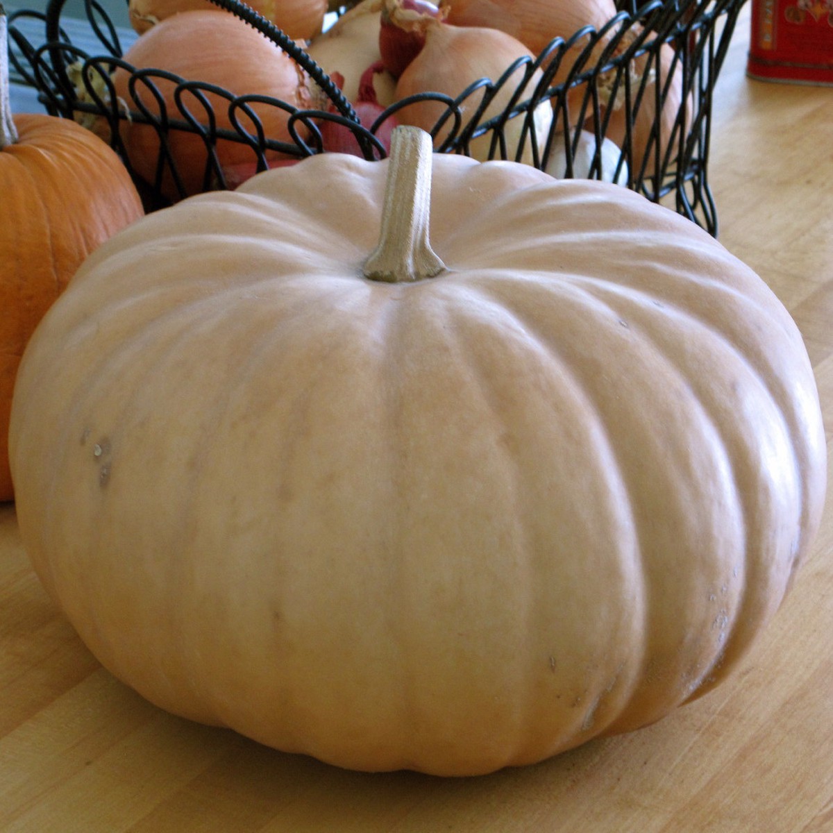 Long Island Cheese Pumpkin 20 Seeds