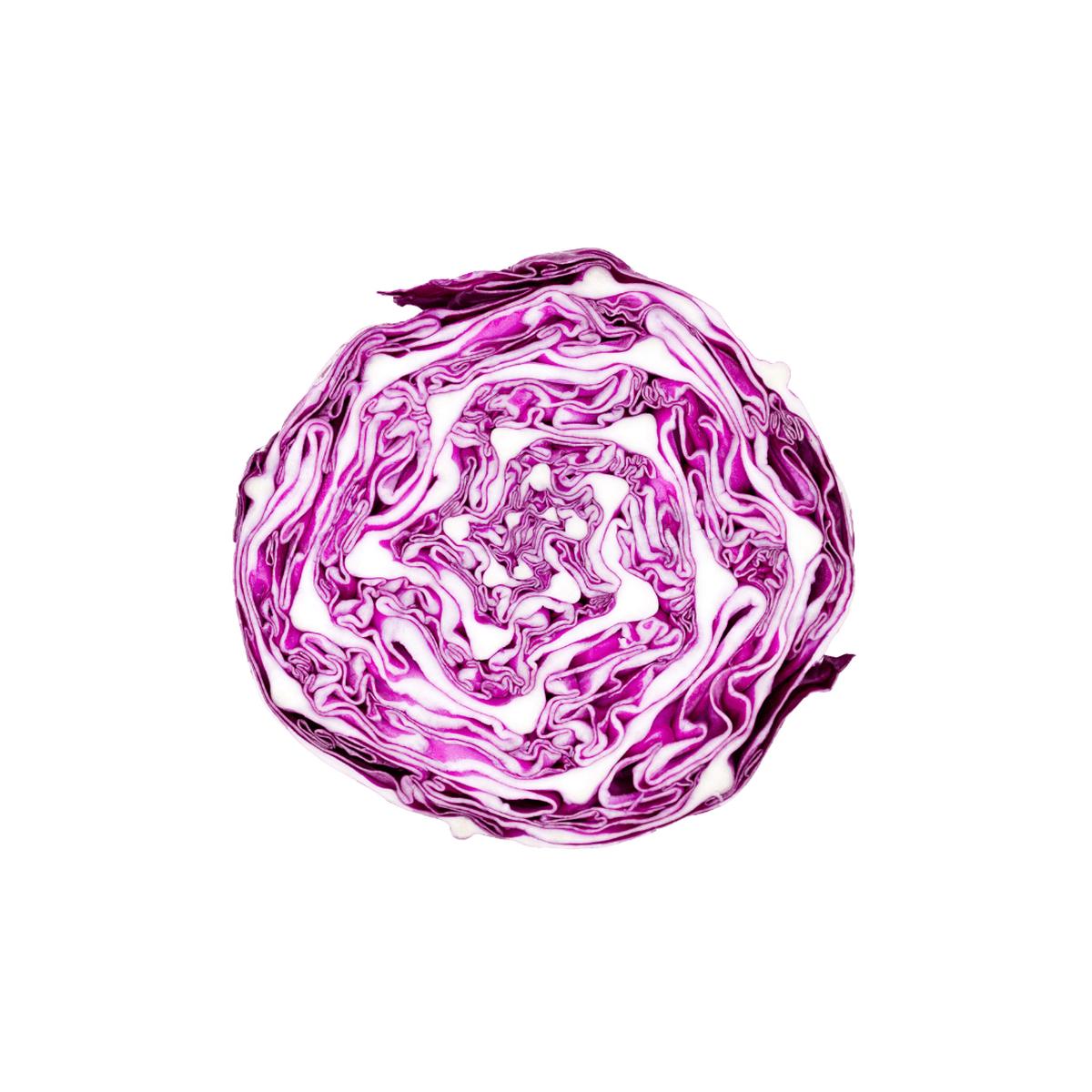 Cabbage Integro F1 Coated Organic Seeds | West Coast Seeds