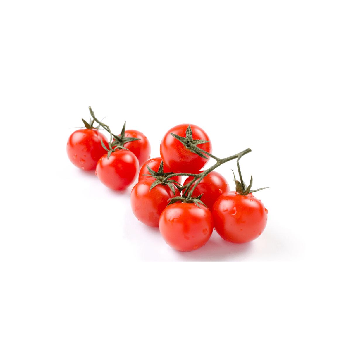 Cherry Gardener's Delight Seeds | Ritchie Feed & Seed Inc.