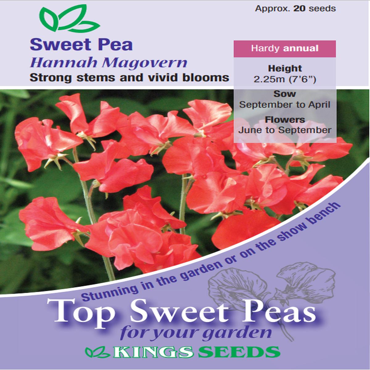 Kings Seeds Sweet Pea Hannah Magovern - 20 Seed