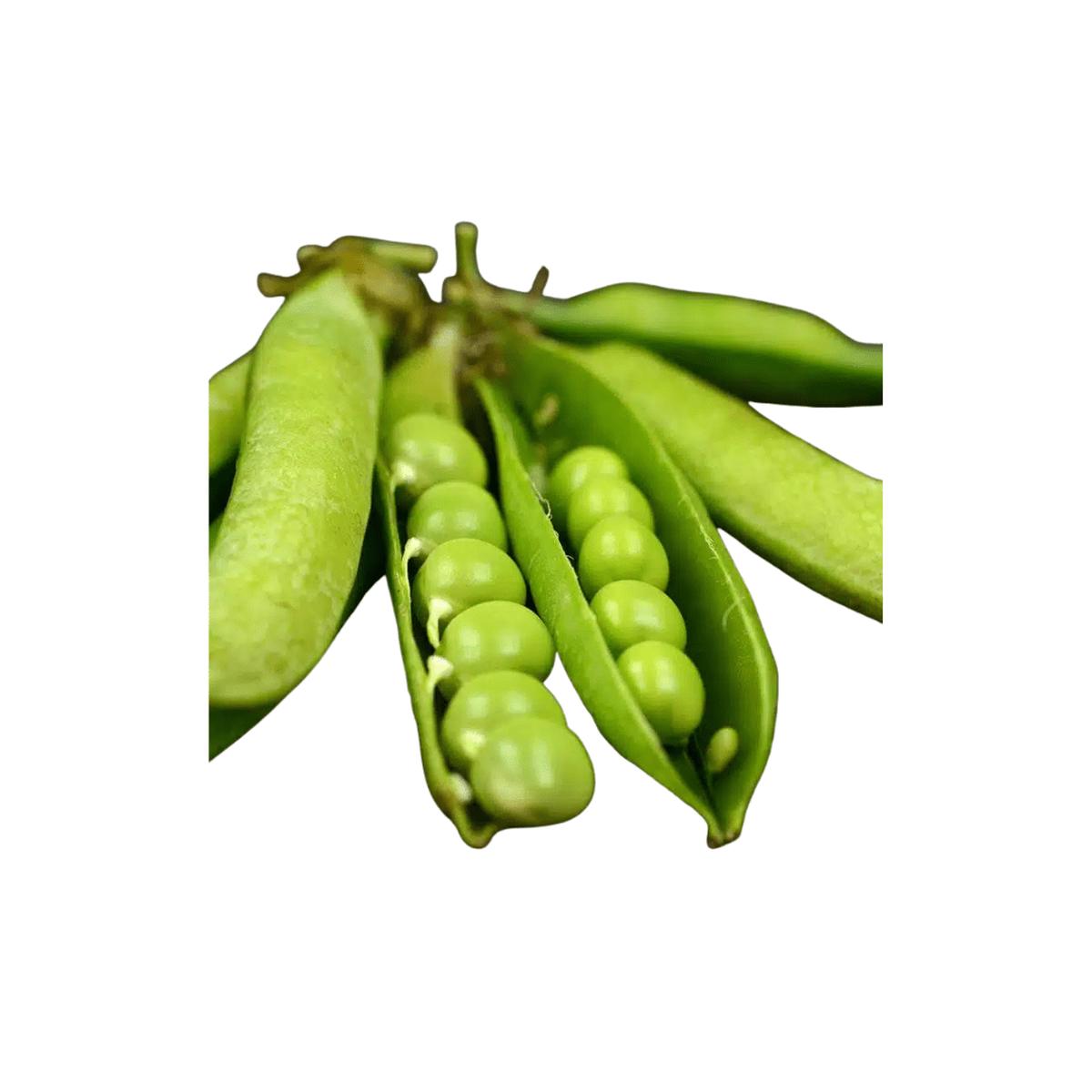 Peas Little Marvel | West Coast Seeds