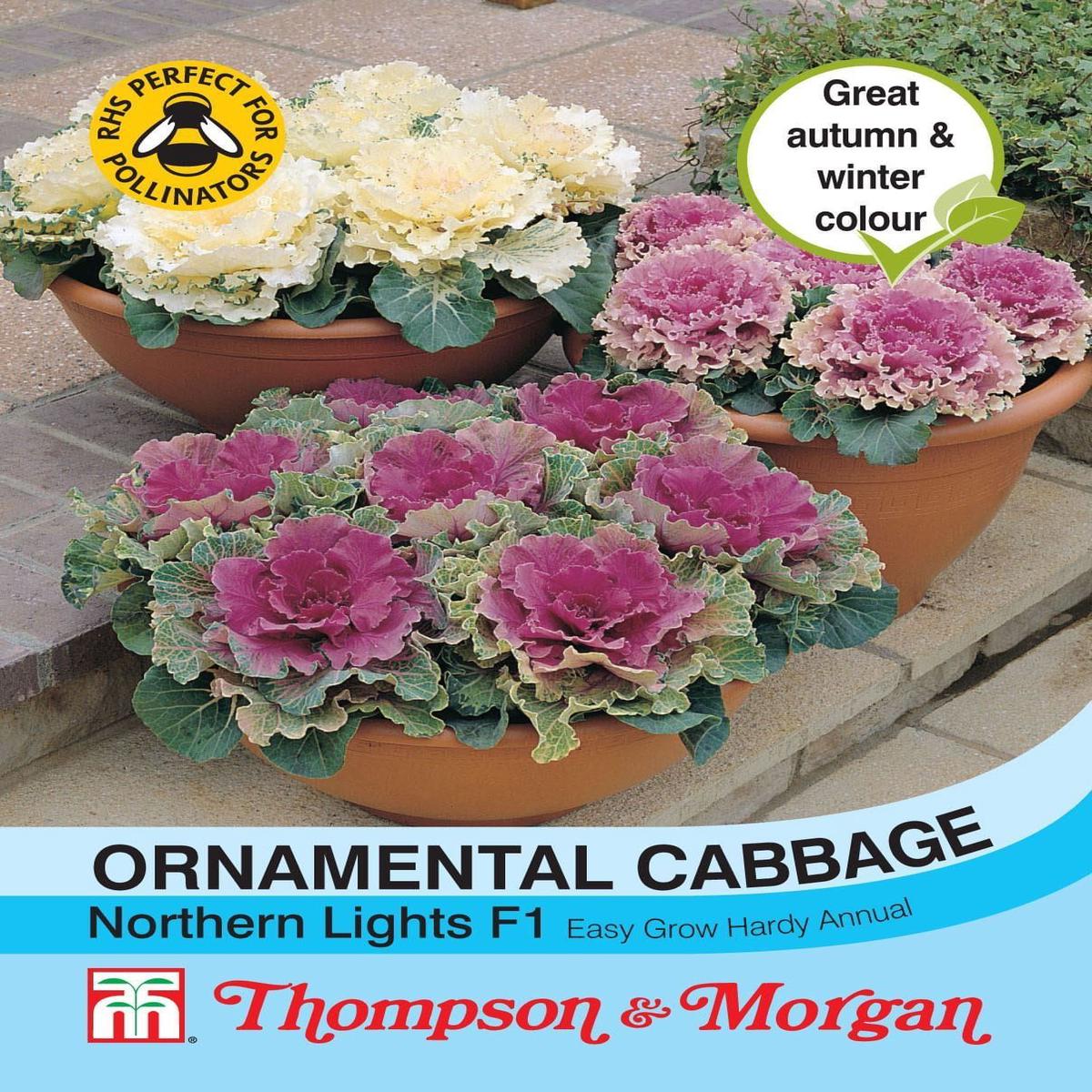 T & M Ornamental Cabbage Northern Lights Mix Seed
