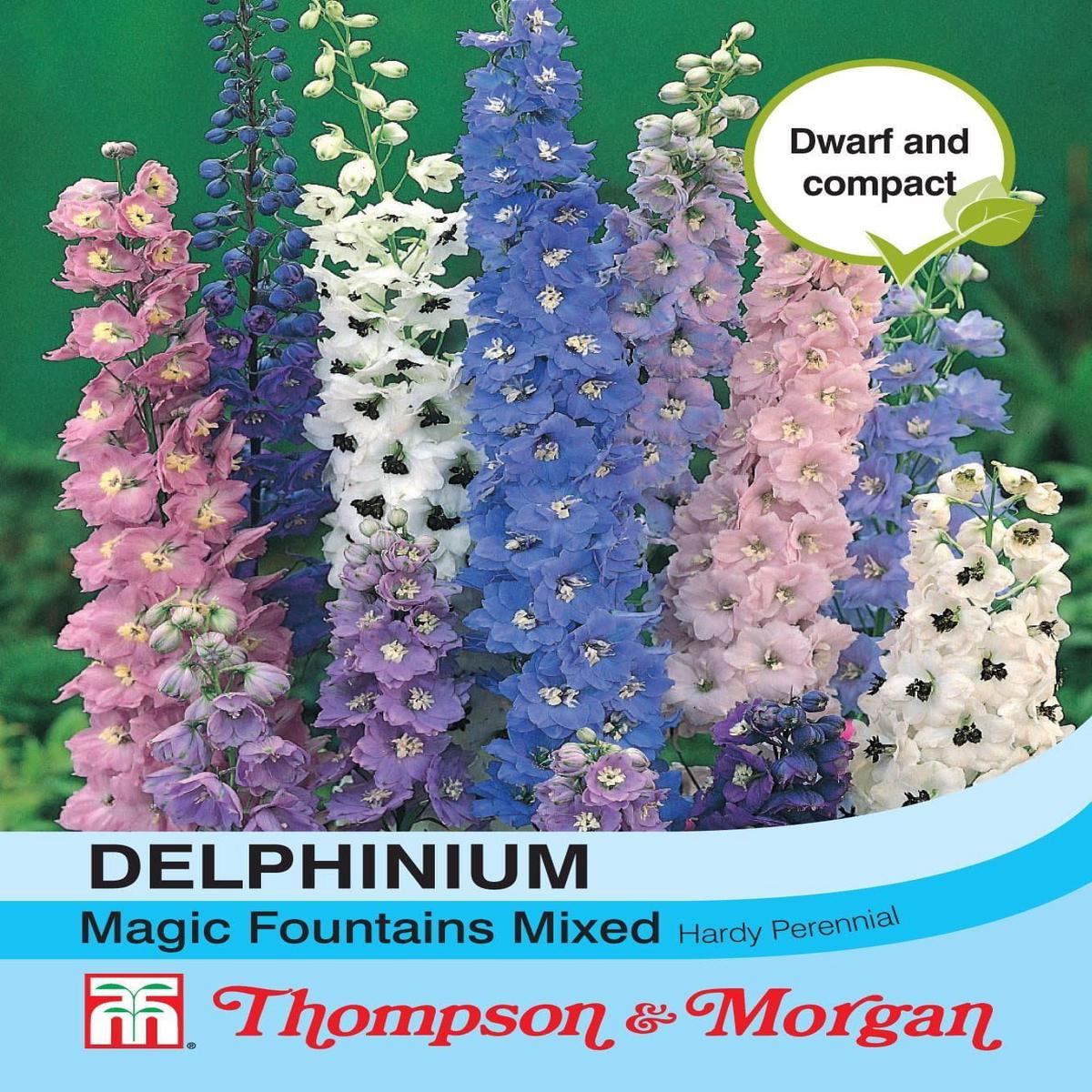 Thompson & Morgan Delphinium Magic Fountains 40 Seed