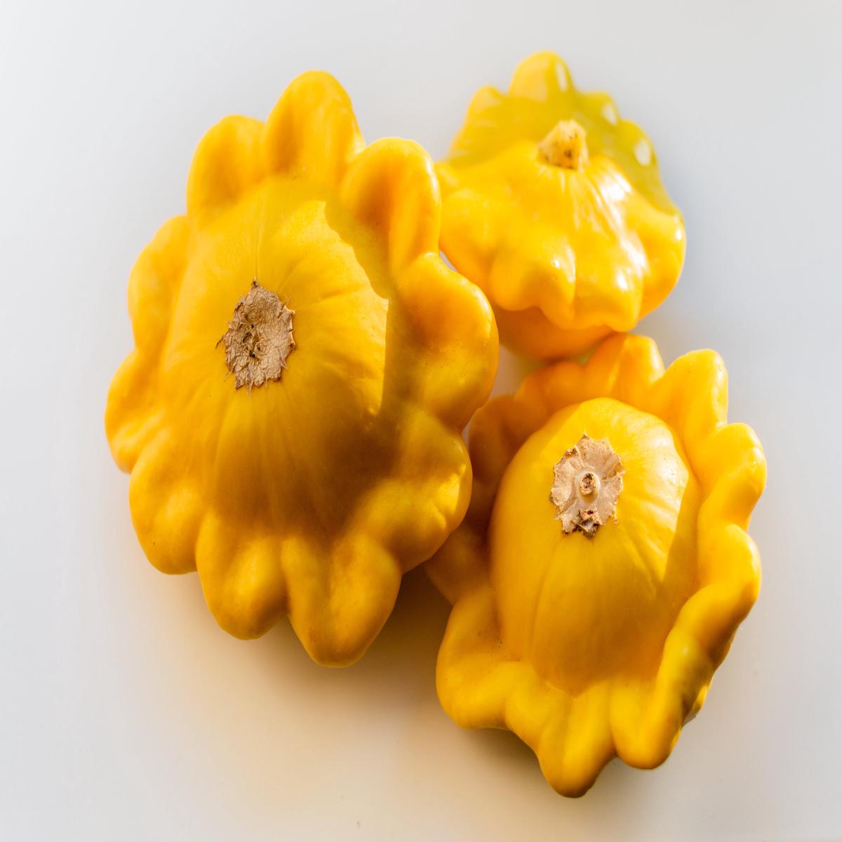 10 Golden YELLOW Bush SCALLOP SQUASH (Patty Pan / Paty Pan / Squanter Squash) Summer Cucurbita Pepo Vegetable Seeds