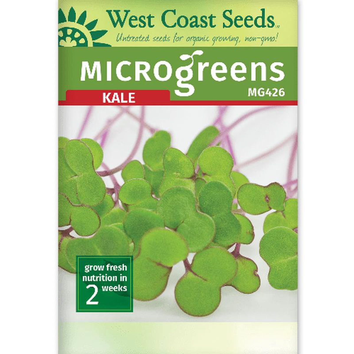 Microgreen Kale 8211 West Coast Seeds