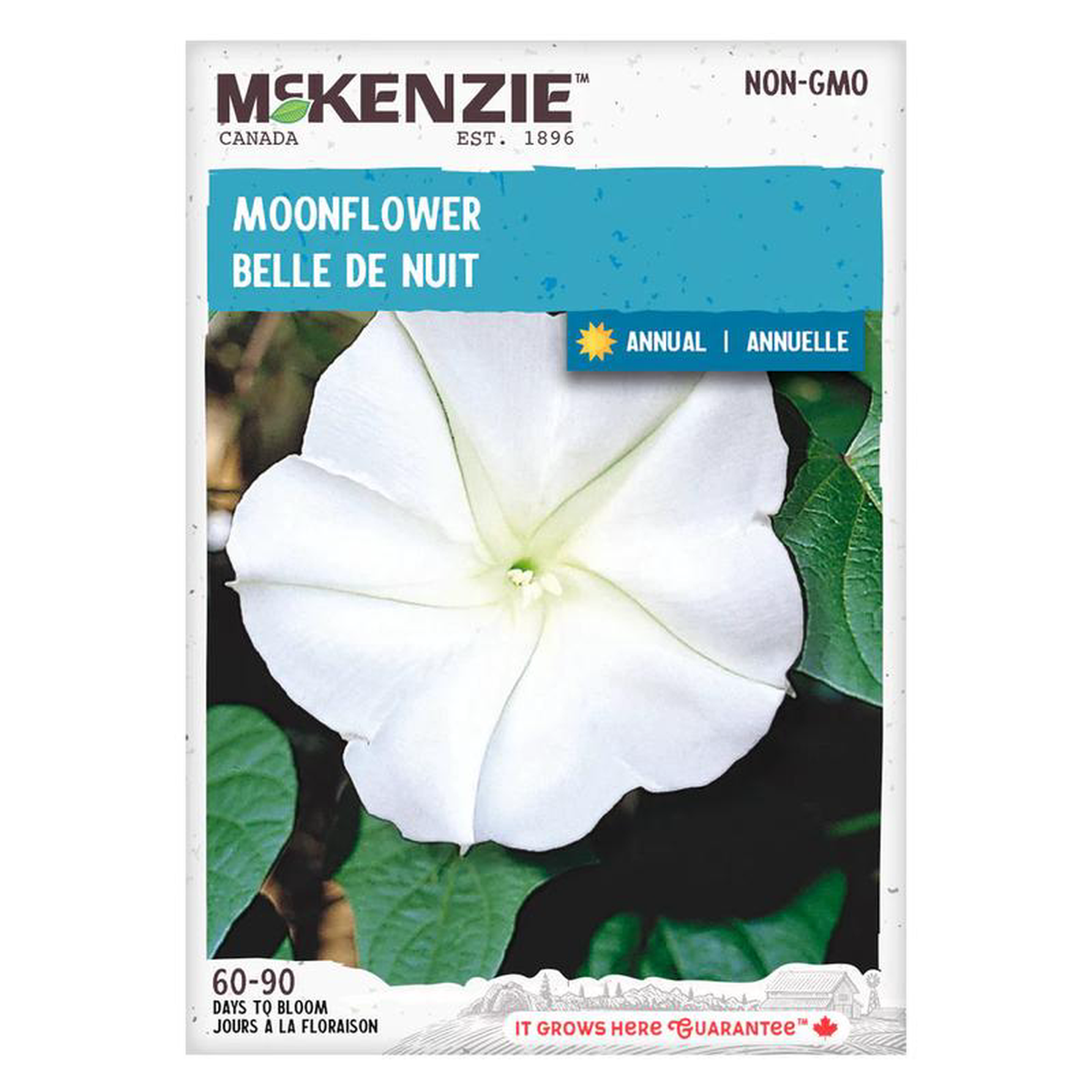 Moonflower 8211 McKenzie Seeds
