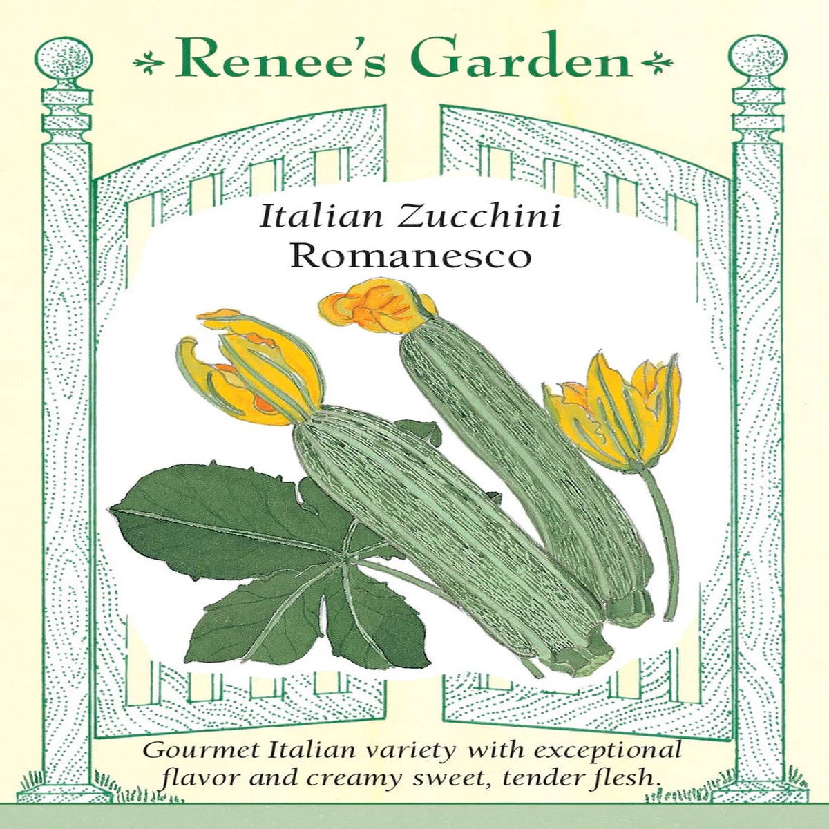 Zucchini - Romanesco