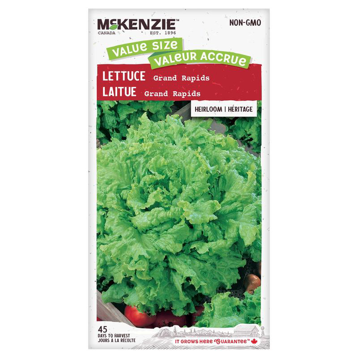 Lettuce Grand Rapids Jumbo Pack 8211 McKenzie Seeds