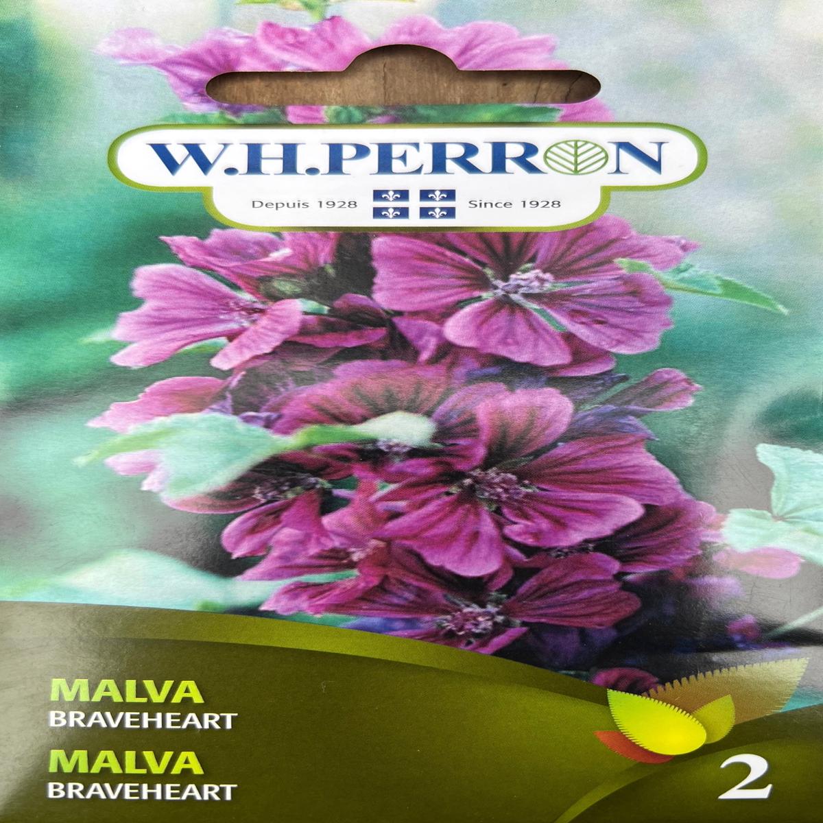 Malva Braveheart Seeds