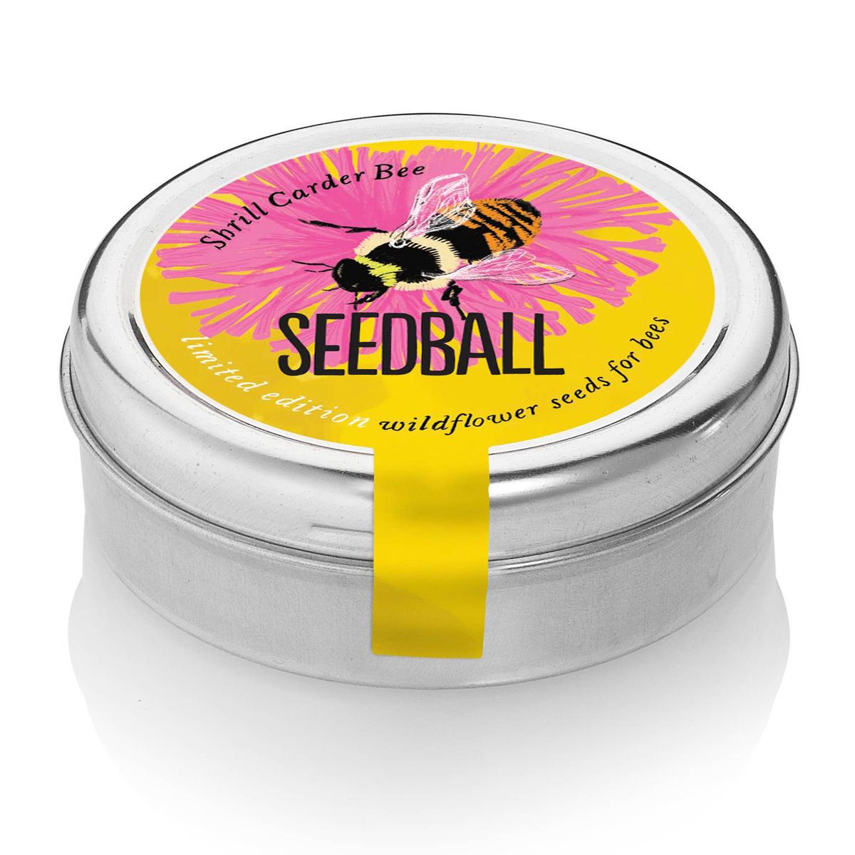 Shrill Carder Bumblebee Mix Wildflower Tin