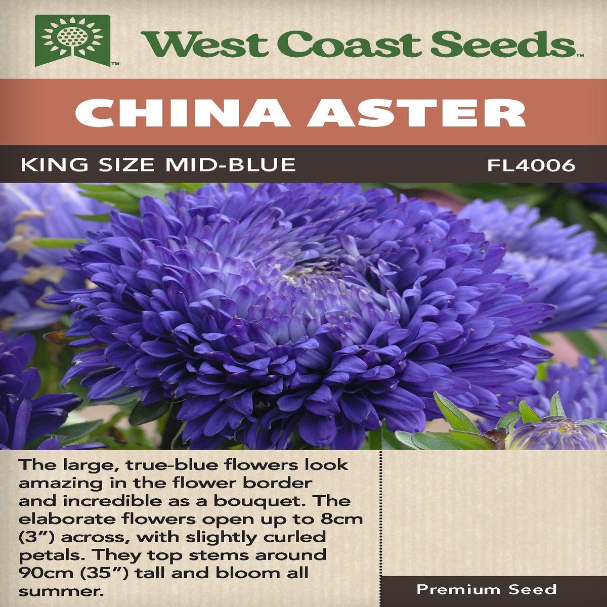 China Aster King Size Mid-Blue - West Coast Seeds