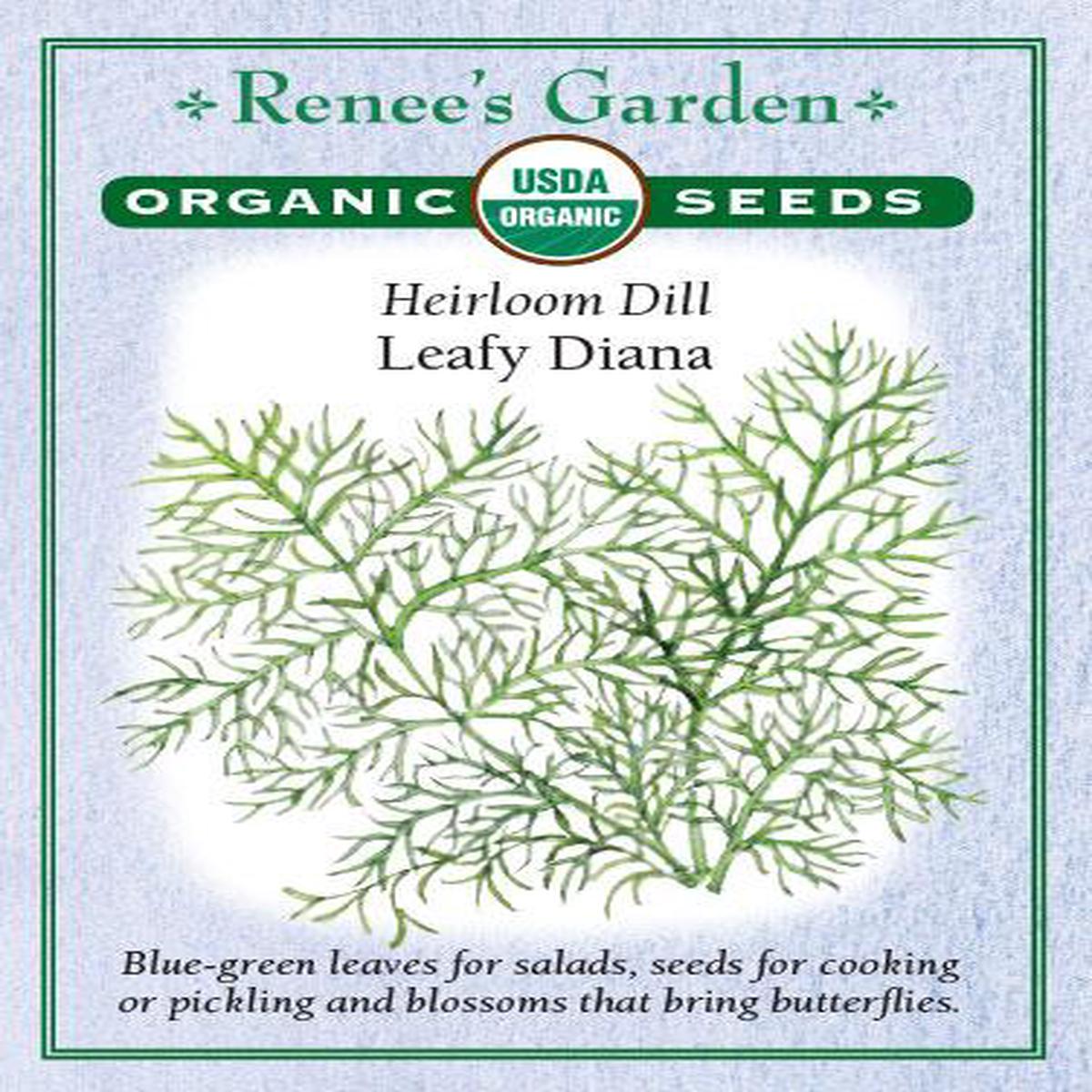 Organic Dill Leafy Diana - Renee's Garden